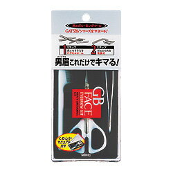 【本日楽天ポイント5倍相当】株式会社マンダムギャツビー メンズアイブローキット【RCP】【北海道・沖縄は別途送料必要】【CPT】