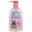 【3%OFFクーポン 5/9 20:00〜5/16 01:59迄】【送料無料】【R623】健栄製薬手指・皮膚の洗浄・消毒手ピカジェル ローズの香り 300ml【...