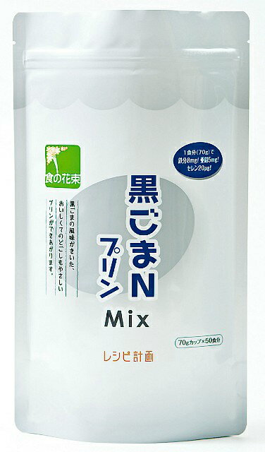 株式会社レシピ計画黒ごまNプリンMix　500g × 20【JAPITALFOODS】【RCP】