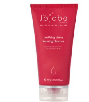 友藤商事株式会社『ホホバカンパニー フェイシャル フォーミングクレンザー 175ml』【北海道・沖縄は別途送料必要】