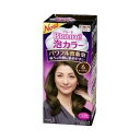 【本日楽天ポイント5倍相当】花王 ブローネ 泡カラー 6 ダークブラウン ( 1セット )【この商品はご注文後キャンセルが出来ません】【■■】【北海道・沖縄は別途送料必要】(4)