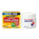 【送料無料】【第3類医薬品】【本日楽天ポイント5倍相当】株式会社池田摸範堂ムヒソフトGX 100g【RCP】【△】
