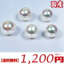 【送料無料】真珠量り売り!日本産...