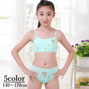 送料無料 ブラジャー ショーツ 上下セット キッズ 子供 女の子 スポブラ スポーツブラジャー パンツ ブラ&ショーツ ブラ 下着 インナー 肌着 ジュニア 子...