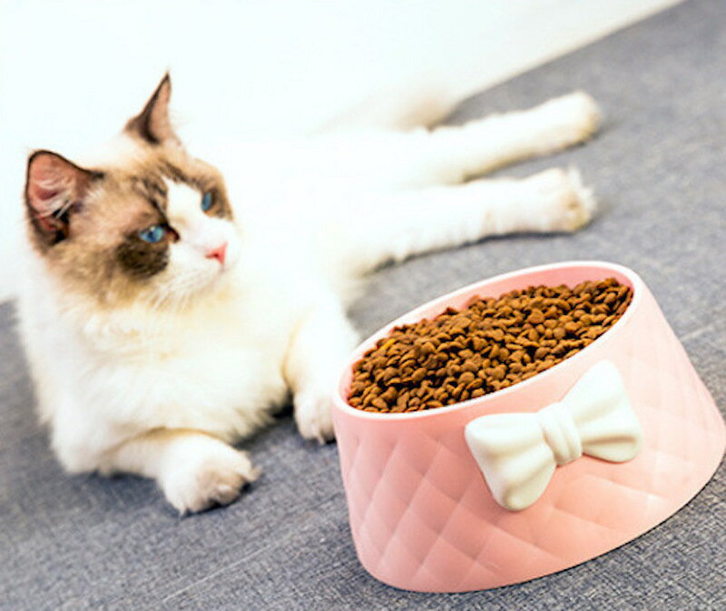 送料無料 ペット用食器 フードボウル 猫用 犬用 食器 ペット用品 餌入れ 水入れ 丸型 円形 プラスチック リボン ウォーターボウル かわいい おしゃれ ピンク グレー グリーン イヌ ネコ