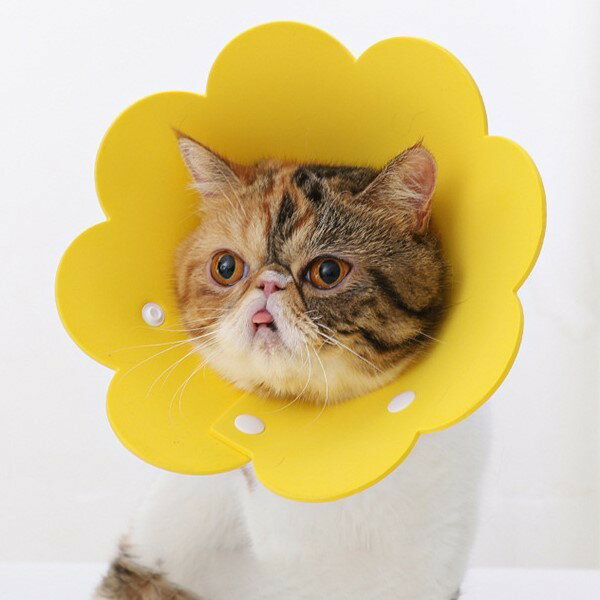 送料無料 エリザベスカラー ネコ 猫 小型犬 ペット用品 ペット雑貨 スナップボタン フラワー 花型 無地 イエロー ピンク オレンジ シンプル かわいい キュート サイズ調整可能