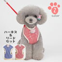 送料無料 ハーネス リード 2点セット 犬用 ペットグッズ ストライプ コサージュ 胴輪 散歩紐 メッシュ 通すタイプ かわいい おしゃれ 犬用品 犬グッズ 超...