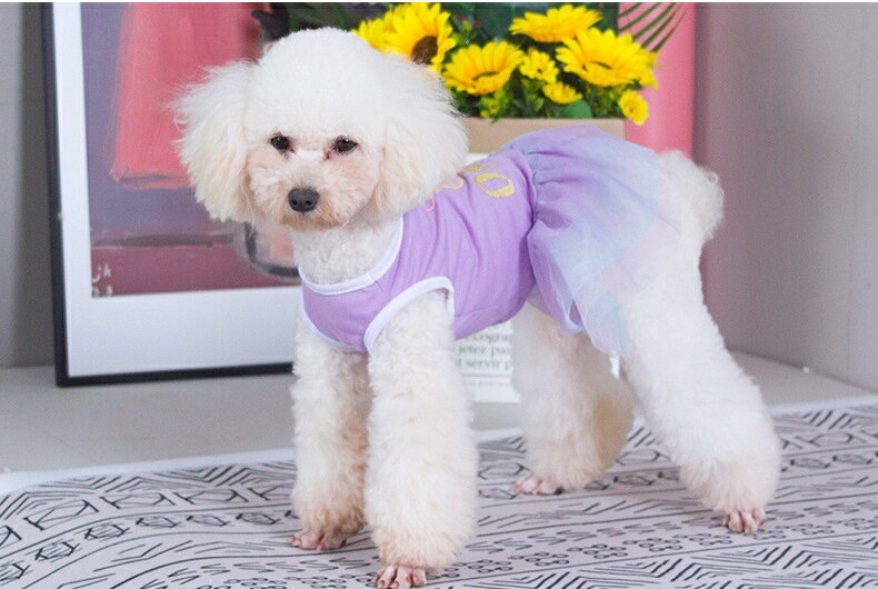 ペットウェア ワンピース 犬 猫 ドッグ キャット 犬服 小型犬 中型犬 ペット用品 ペットグッズ 切り替えワンピ 袖なし チュールスカート チュチュ ドーナツ 王冠 ティアラ 文字入り ギャザー フリル 星 スター プルオーバー シンプル カジュアル ふんわり かわいい おしゃれ kobe-s-10030113 dolcissimo サンプル画像3