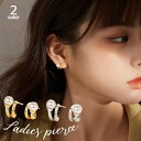 送料無料 スタッドピアス レディース 女性用 アクセサリー サークル 2連風 上品 大人 シンプル かわいい 存在感 カジュアル おしゃれ 耳飾り 普段使い OL 会社 オフィス 婦人 ファッション小物 プレゼント 贈り物 ギフト 誕生日 記念日 お出かけ パーティー