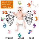 送料無料 フォトシーツ ベビー 赤ちゃん バースデー お昼寝シーツ 寝相アート 写真撮影 身長計 数字 英字 背景シーツ マンスリーフォト SNS インスタ 出...