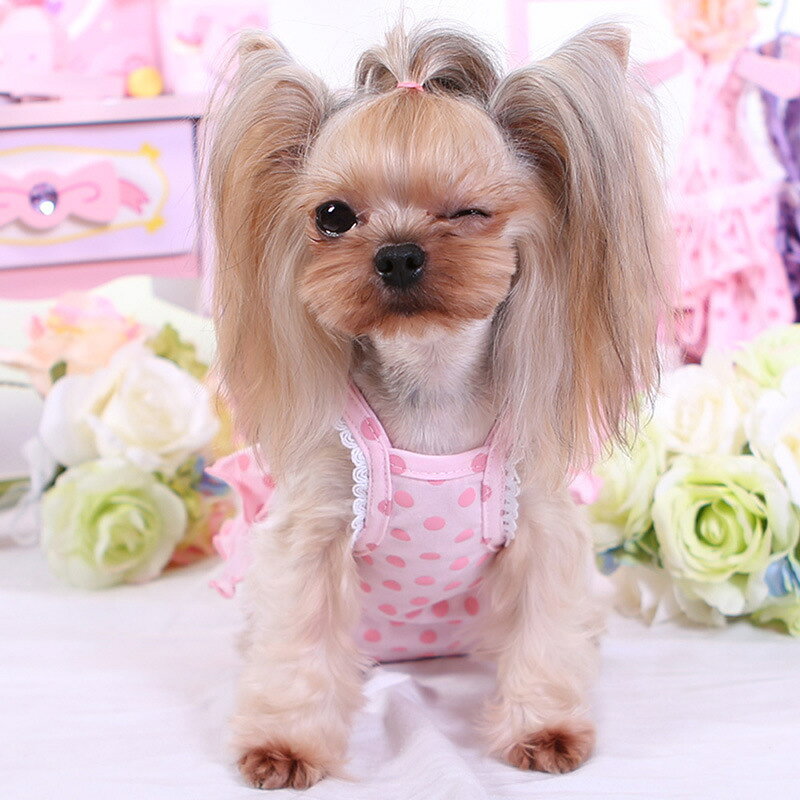 dolcissimoの送料無料 サニタリーパンツ ペット用 生理用 サロペット 犬用 猫用 マナーショーツ ツナギ オーバーオール フリル レース 水玉 ドット 可愛い おしゃれ お散歩｜アングル3
