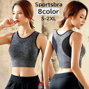 送料無料 スポーツブラ ブラジャー レディース 女性用 インナー 下着 ハーフトップブラ ノンワイヤーブラ 無地 背中メッシュ 通気性 パッド入り シンプル お...
