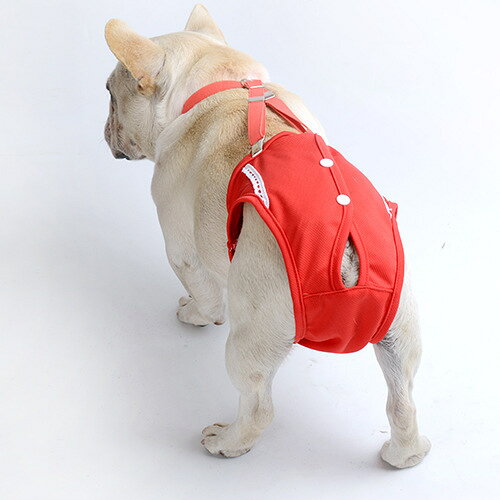 送料無料 犬用サニタリーパンツ サスペンダー付き 犬服 月経 生理 介護 サニタリーショーツ マナーパンツ 生理パンツ 犬 ドッグ ペット用品 ペットウェア レッド かわいい 赤 2