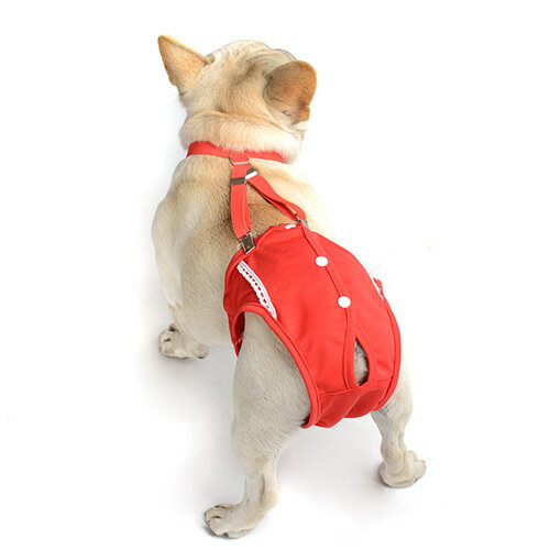 送料無料 犬用サニタリーパンツ サスペンダー付き 犬服 月経 生理 介護 サニタリーショーツ マナーパンツ 生理パンツ 犬 ドッグ ペット用品 ペットウェア レッド かわいい 赤 3