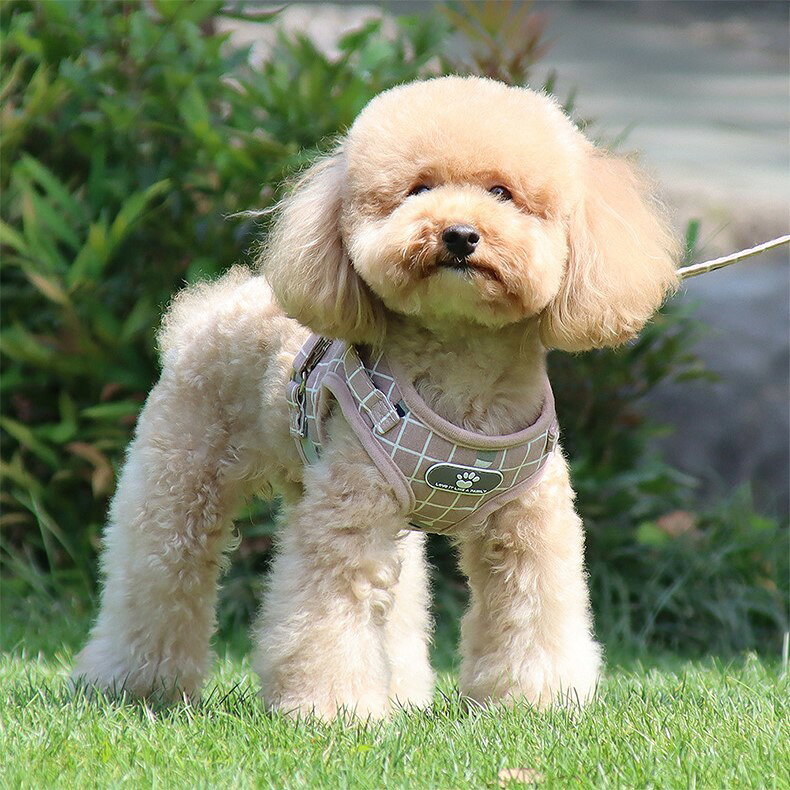 送料無料 ハーネス リード 2点セット 小型犬 中型犬 イヌ 猫 ネコ ペットグッズ ペ...