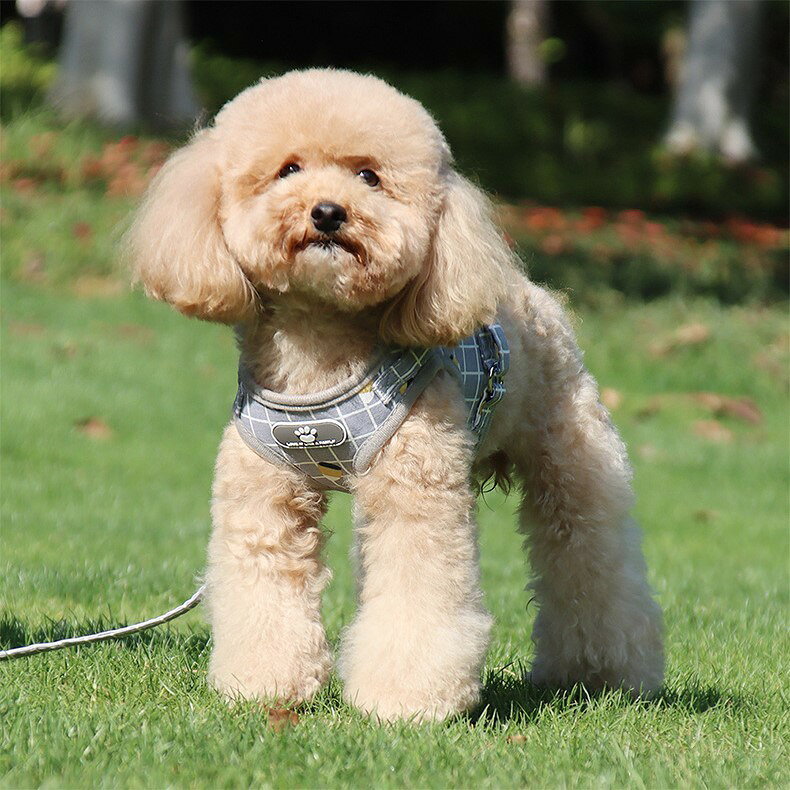 送料無料 ハーネス リード 2点セット 小型犬 中型犬 イヌ 猫 ネコ ペットグッズ ペ...