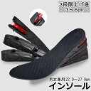 送料無料 インソール シークレットインソール メンズ レディース 男女兼用 中敷き インヒール 3段階調節 厚底 上げ底 身長アップ