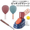 送料無料 ピッチングマシーン 野球 テニス 練習用具 スポーツ用具 バッティング 打つ 屋外 野外 バット ラケット ストレス解消 運動不足解消 セルフ 空気式...