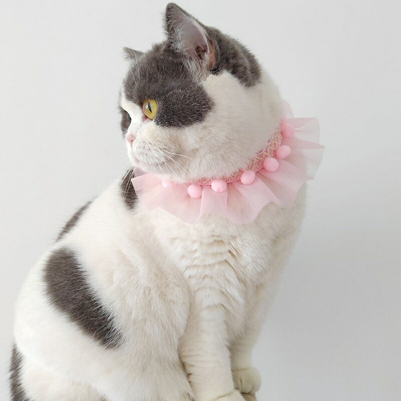 送料無料 チョーカー 首飾り 猫用 犬用 ペット用 アクセサリー レース チュール メ...