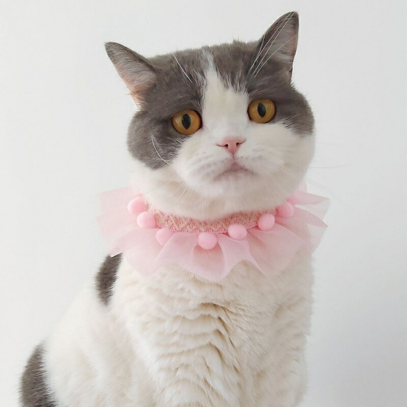 送料無料 チョーカー 首飾り 猫用 犬用 ペット用 アクセサリー レース チュール メ...