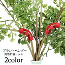 送料無料 プラントベンダー クリップ 15個セット 園芸用品 ガーデニング資材 植物の茎を曲げる サポートクリップ トレーニングクリップ 成長操作 植物 低木 野菜 枝クリップ 便利グッズ