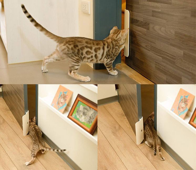 ����̵�� �ڥåȥɥ� �ڥå��� ǭ�ɥ� ����åȥɥ� �ͥ� �ͤ� �� ���� ������ ����դ���ñ �ꤢ������ Ⱦ��ư ������ ������ ���� ��� �� ���å��� ΢�� ����