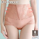 送料無料 ガードルショーツ 補正下着 レディース 女性 大きいサイズ ...(4)