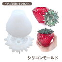 送料無料 シリコンモールド DIY レジン工作 エポキシ樹脂 ストロベリー収納ボックス いちごケース デコレーション レジン収納ケース ふた付き 小物入れ制作 シリコン型 鏡面仕上げ