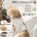 送料無料 猫用 ハーネス リード 2点セット キャットウェア ペット用 ペット用品 北欧風 ナチュラル シンプル おしゃれ ペットグッズ 猫用品 マジック テー...