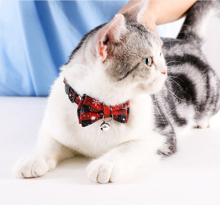 送料無料 ペット用首輪 ネコ ねこ 猫 イヌ いぬ 小型犬 ペット用品 バックル式 鈴...