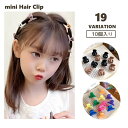 送料無料 ミニヘアクリップ 10個入り ヘアクリップ ミニクリップ キッズ レディース ヘアアクセサリー バンスクリップ ミニ クリップ 前髪 前髪クリップ か...