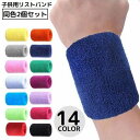 送料無料 2個セット リストバンド カラーリストバンド 手首サポーター 汗拭き 汗止め 吸汗 通気性 パイル 無地 メンズ レディース 男性 女性 男女兼用 ユ...