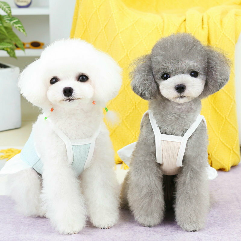 ����̵�� �ڥåȥ����� ���ԡ��� ����ߥ����� �������� ���� ǭ�� ���� �ɥå������� ����åȥ����� µ�ʤ� �ץ륪���С� ����ץ� �����奢�� ��ޯ�� �İ��� �ڥå���