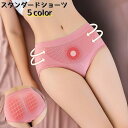 送料無料 スタンダードショーツ レディース インナー ショーツ パンツ 下着 女性 婦人 伸縮性 保温 立体 シンプル 無地 あたたかい 蒸れない