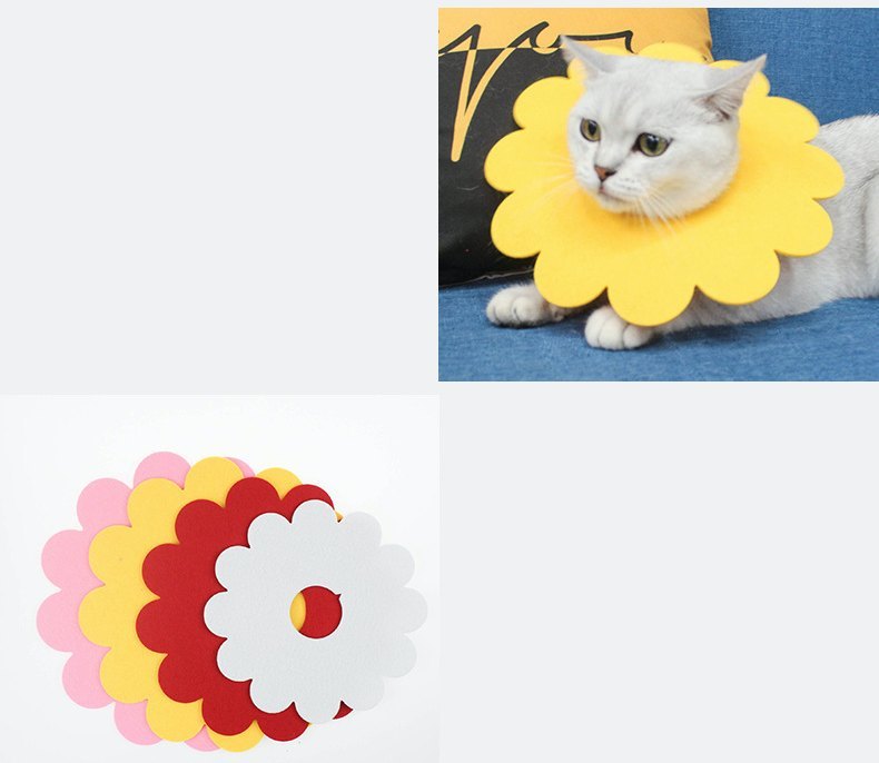 送料無料 エリザベスカラー 5個セット 猫用 犬用 ペット用品 ペットグッズ ケア用...