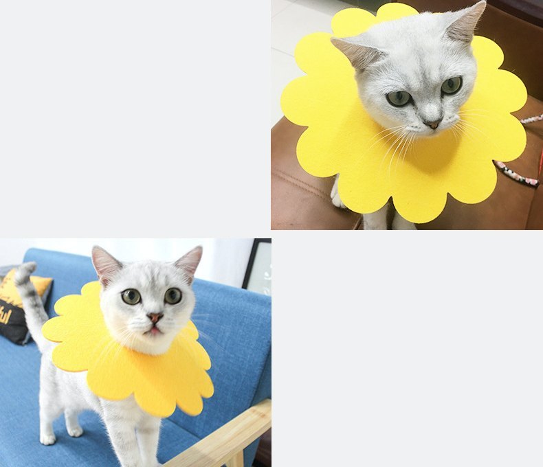 送料無料 エリザベスカラー 5個セット 猫用 犬用 ペット用品 ペットグッズ ケア用...