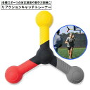 送料無料 リアクションキャッチトレーナー スポーツビジョントレーニング...(4)