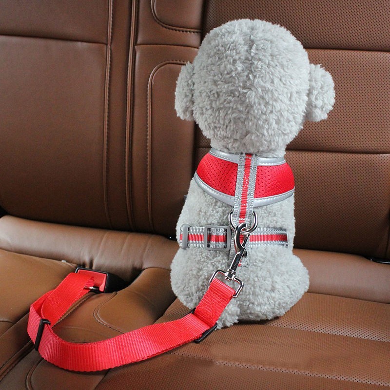 送料無料 ペット用シートベルト 安全ベルト 犬 ドッグ 猫 キャット 車内 簡単装着 ...