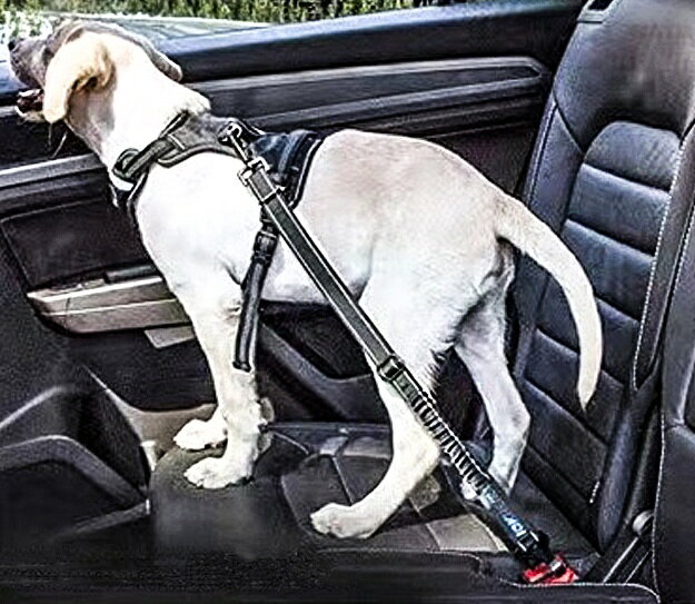 送料無料 ペット用シートベルト 犬 猫 車専用リード ドライブ お出かけ 便利 簡単...