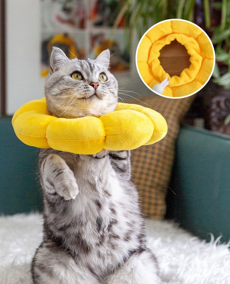 送料無料 エリザベスカラー 猫 犬 ペット用品 術後ウェア 軽量 柔らかい ソフト ク...