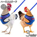 送料無料 ハーネス リード 2点セット 鶏用 アヒル 鳥用 犬 猫 ペット用品 胴輪 メッシュ Dカン 蝶ネクタイ 通気性 薄手 調節可能 散歩 お出かけ 紐 ロープ かわいい シンプル ニワトリ あひる 鳥類 いぬ ねこ