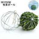 送料無料 牧草ボール 牧草フィーダー 牧草入れ 干し草入れ 小動物用エサ入れ うさぎ ウサギ 食器 吊り下げ 球体 ゲージ ハムスター モルモット