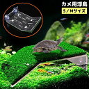送料無料 爬虫類用 両生類用 浮島 日なたぼっこ台 テラス S/M 吸盤 バスキング 日光浴 休憩 水槽 アクアリウム 亀 カメ トカゲ イモリ