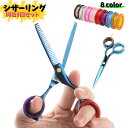 送料無料 シザーリング 散髪ハサミ用リング 同色5個セット 滑り止めリング ヘアケア フィンガーリング ソフトタイプ グリップ ヘアカット サイズ調節 カラバリ豊富