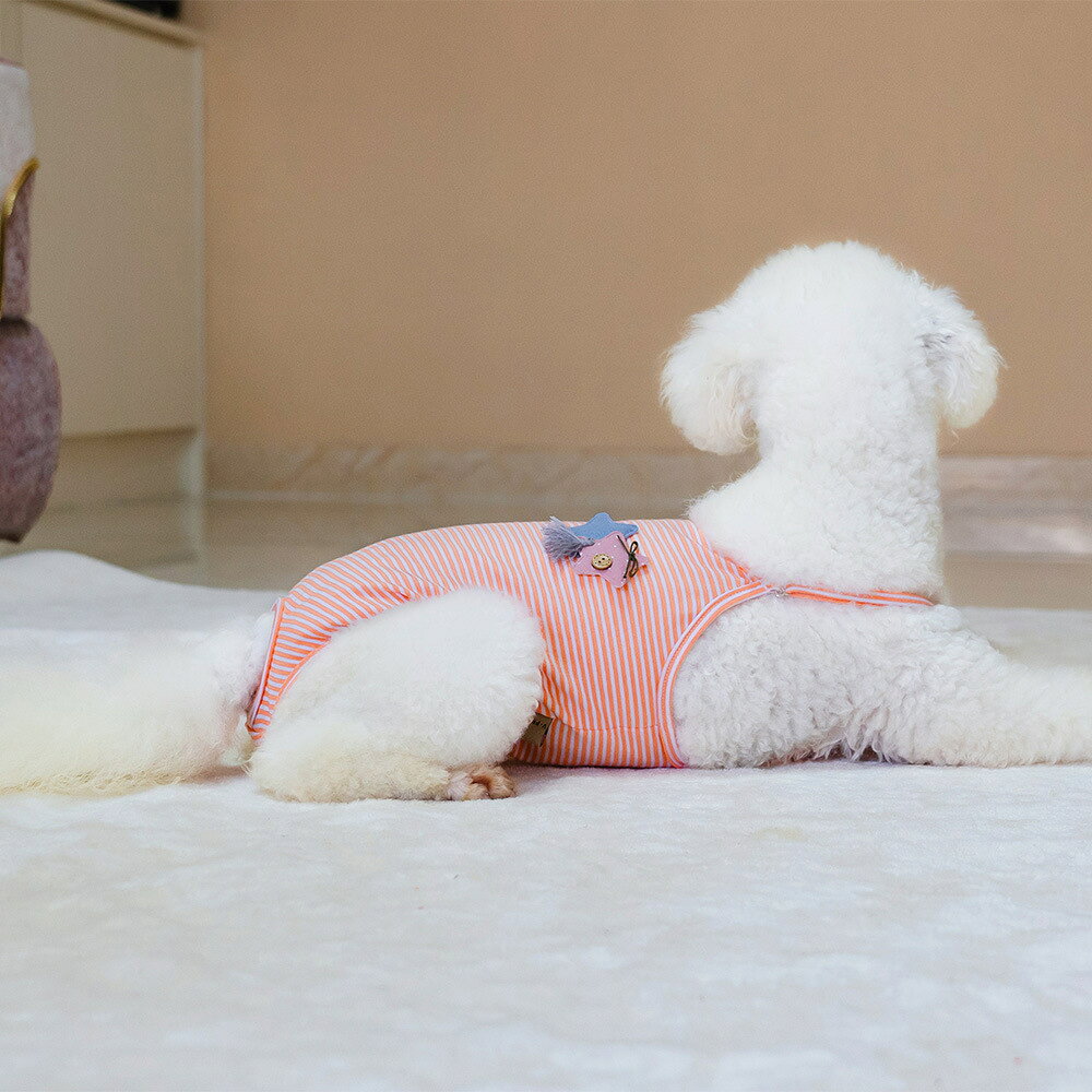 dolcissimoの送料無料 サニタリーパンツ マナーパンツ ペット用 犬用 ネコ用 マナーガード ロンパース キャミソール お漏らし防止 トイレ用品 星柄 スター ストライプ｜アングル3