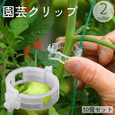 送料無料 園芸用クリップ 誘引クリップ 50個セット 固定 留める サポート 支柱 取り付け簡単 園芸用品 ガーデニング 家庭菜園 農業用 植物 花 野菜