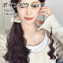 送料無料 ウィッグ つけ毛 レディース ヘアアクセサリー ブラウン ブラック ピンク ブルー かわいい ポニーテール ヘアアレンジ