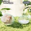 送料無料 ハムスター用トイレ 砂風呂 お風呂 砂遊び 砂浴び 砂場 小動物用 透明 クリア 中が見える 飛び散り防止 ペット用品 ペットグッズ ばらせる お手入...