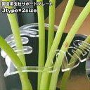 送料無料 園芸用支柱サポートプレート 支柱ホルダー 支柱用部品 つる植物用 支柱固定 葉っぱ型 リーフ型 家庭菜園 農業 ガーデニング 野菜 花 園芸用品