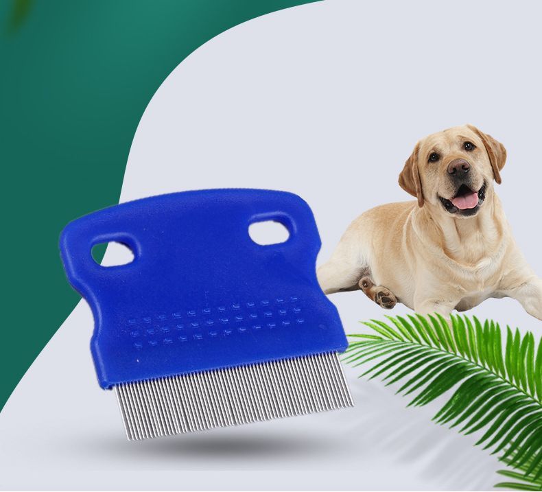 ����̵�� �Υ߼�ꥳ���� ñ�� 1�� �ڥå��� �ڥå����� �ڥåȥ��å� �ͥ� �ͤ� ���� ���� �Τ߼�� ���˼�� ������ �� �֥饷 ǭ�� ���� ȴ���ӥ��� ȴ���Ӽ�� �������� ���롼�ߥ� �֥�å��� ���襤�� ����ѥ���